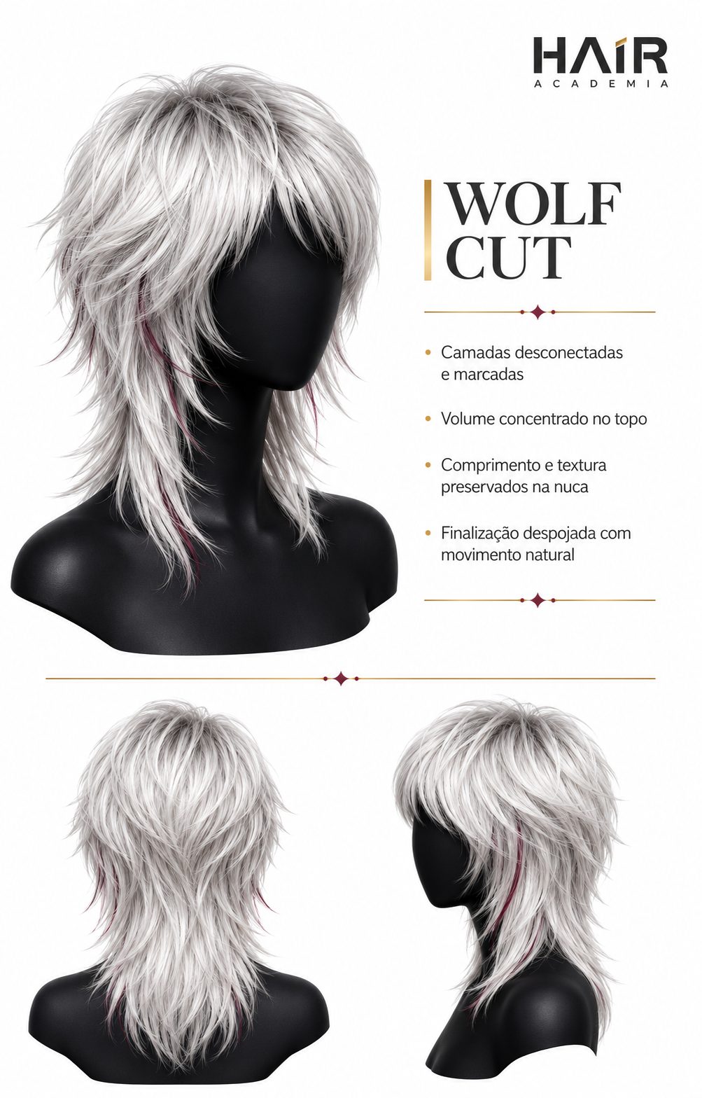Conexão Barber